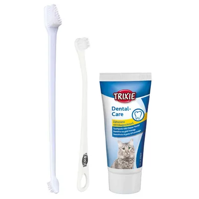 Set hygiène dentaire chat gout fromage 50g