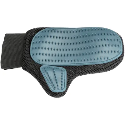 Gant pour le soin du pelage pour chien