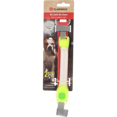Bande de sécurité Neil Jaune fluo pour collier pour chien