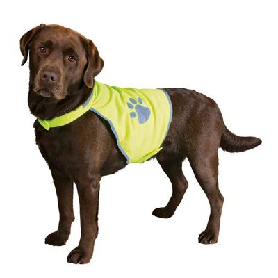 animallparadise - Gilet de sécurité pour chien taille M