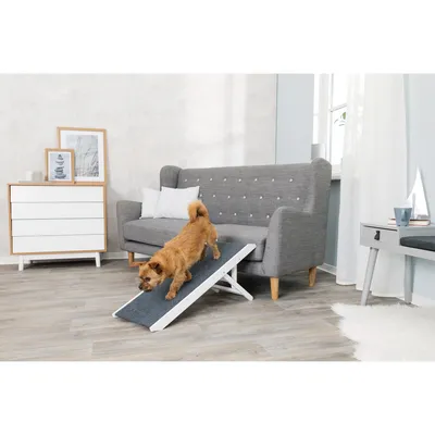 animallparadise - Rampe pour chat et chien intérieur en bois , 36 x 90 cm.