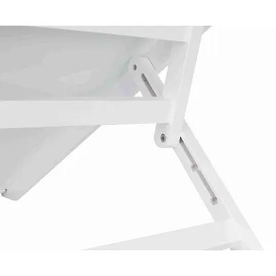 Rampe pour chat et chien intérieur en bois , 36 x 90 cm.