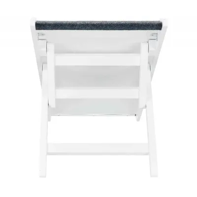 animallparadise - Rampe pour chat et chien intérieur en bois , 36 x 90 cm.