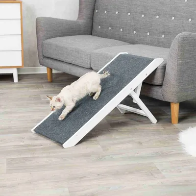 animallparadise - Rampe pour chat et chien intérieur en bois , 36 x 90 cm.