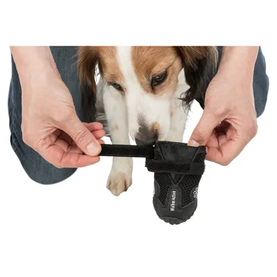 animallparadise - Bottes de protection Walker Active, taille: S-M