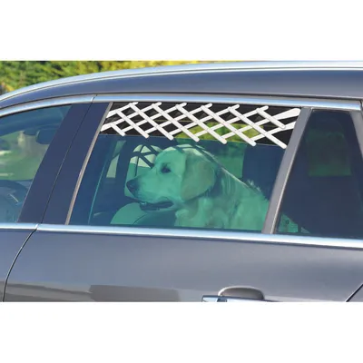 Grille de sécurité fenêtre de voiture pour chien.
