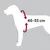 Harnais pour voiture Dog Confort S-M pour chien Harnais pour voiture Dog Confort S-M pour chien