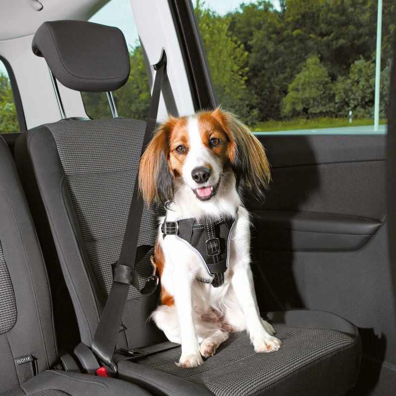 Harnais pour voiture Dog Confort S-M pour chien