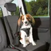 Harnais pour voiture Dog Confort S-M pour chien