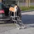 animallparadise - Escalier repliable Falt -Treppe. accessoire voiture  pour