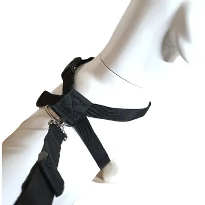 animallparadise - Harnais de sécurité taille L pour chien en voiture