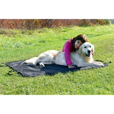 Plaid de protection voiture auto réglable, pour chien