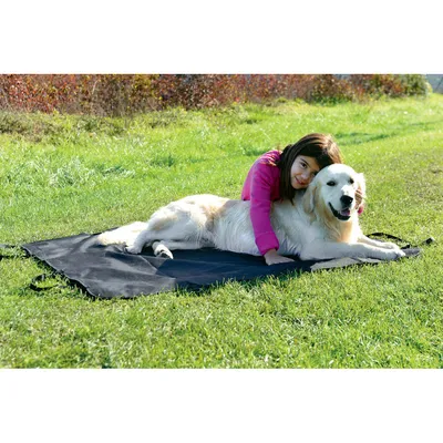 Plaid de protection voiture auto réglable, pour chien