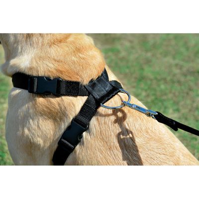 Harnais de sécurité taille XL pour chien en voiture