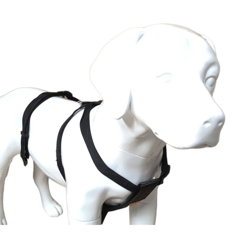 Harnais de sécurité taille XL pour chien en voiture