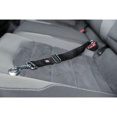 Laisse courte de remplacement avec mousqueton pour voiture Laisse courte de remplacement avec mousqueton pour voiture