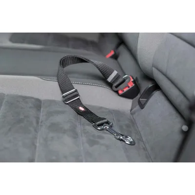 Laisse courte de remplacement avec mousqueton pour voiture Laisse courte de remplacement avec mousqueton pour voiture