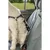 Harnais pour voiture Dog Confort L pour chien Harnais pour voiture Dog Confort L pour chien
