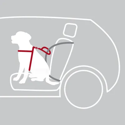 Harnais pour voiture Dog Confort L pour chien Harnais pour voiture Dog Confort L pour chien