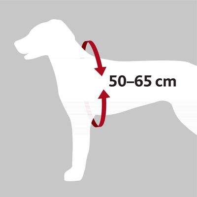 TRIXIE Hundeautogeschirr zur Sicherung auf Brusthöhe, mit Polsterung
