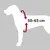 Harnais pour voiture Dog Confort M pour chien Harnais pour voiture Dog Confort M pour chien