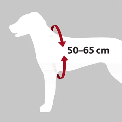 Harnais pour voiture Dog Confort M pour chien Harnais pour voiture Dog Confort M pour chien