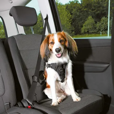 Trixie - Harnais pour voiture Dog Confort M pour chien