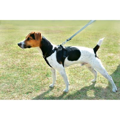 Harnais de sécurité taille M pour chien en voiture