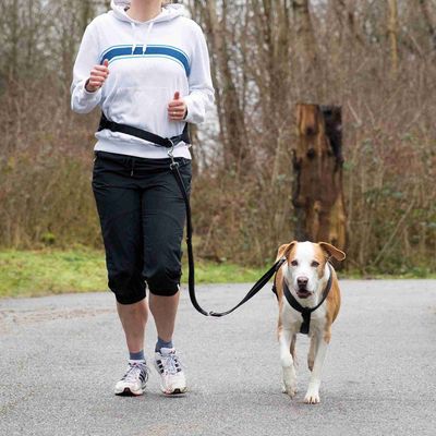 Ceinture ventrale avec laisse pour chiens Tour de ventre: 75-120 cm