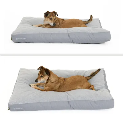 Coussin Lounge Doctor Bark « GreenLabel » Coussin Lounge Doctor Bark « GreenLabel »