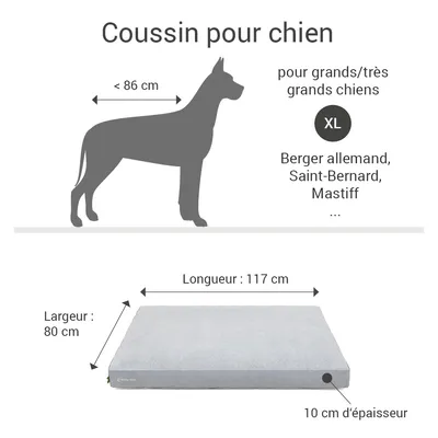 Coussin Lounge Doctor Bark « GreenLabel » Coussin Lounge Doctor Bark « GreenLabel »
