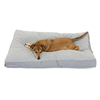Coussin Lounge Doctor Bark « GreenLabel » Coussin Lounge Doctor Bark « GreenLabel »