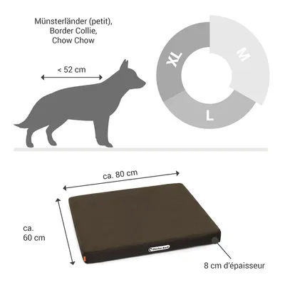Doctor Bark Matelas orthopédique pour chien