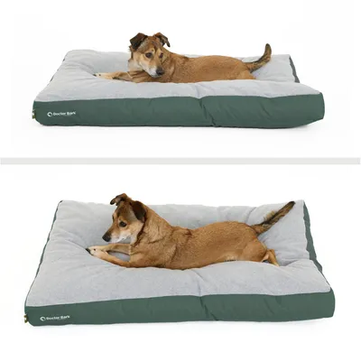 Coussin Lounge Doctor Bark « GreenLabel » Coussin Lounge Doctor Bark « GreenLabel »