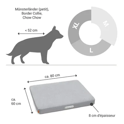 Doctor Bark Matelas orthopédique pour chien