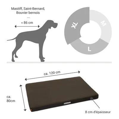 Doctor Bark Matelas orthopédique pour chien Doctor Bark Matelas orthopédique pour chien