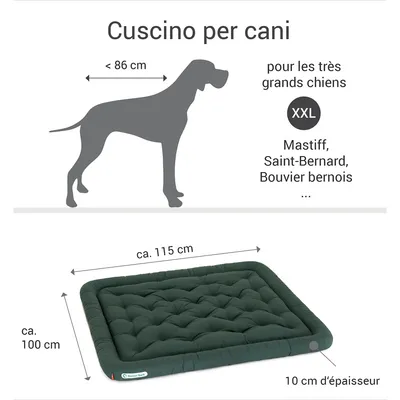 Doctor Bark Coussin orthopédique de salon