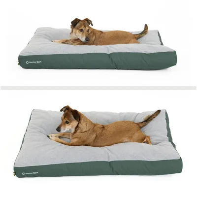 Coussin Lounge Doctor Bark « GreenLabel » Coussin Lounge Doctor Bark « GreenLabel »
