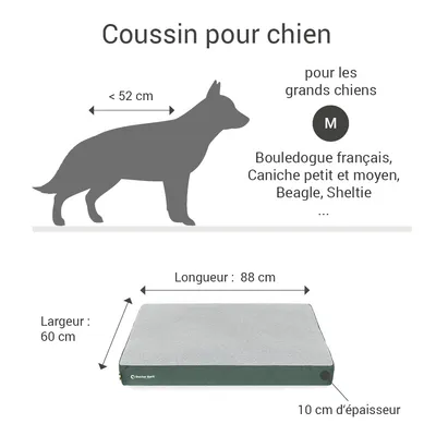 Coussin Lounge Doctor Bark « GreenLabel » Coussin Lounge Doctor Bark « GreenLabel »