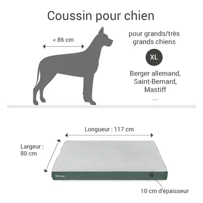 Coussin Lounge Doctor Bark « GreenLabel » Coussin Lounge Doctor Bark « GreenLabel »
