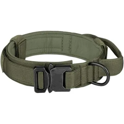 FranceCroquettes Collier tactique Kaki  pour chien