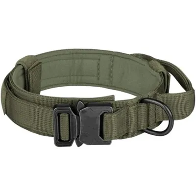 FranceCroquettes Collier tactique Kaki  pour chien