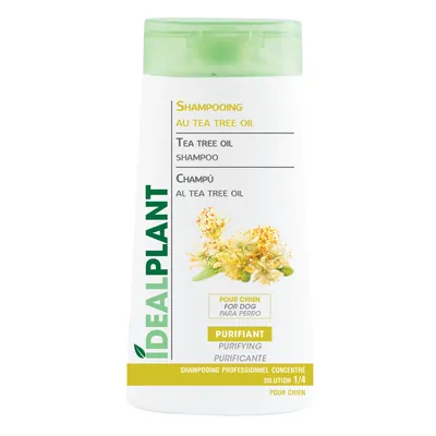 Shampoing au Tea Tree Oil IdealPlant Shampoing au Tea Tree Oil IdealPlant