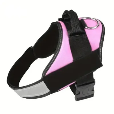 FranceCroquettes Harnais Violet  pour chien