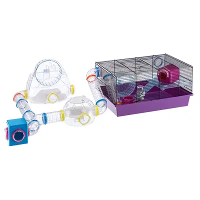 Ferplast Module d’habitation avec roue pour hamsters et GYM