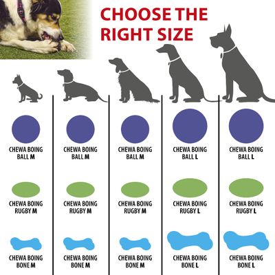 Ferplast Jouet os pour chiens Ferplast Chewa Boing, taille CHEWA BOING Os