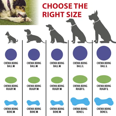 Ferplast Jouet os pour chiens Ferplast Chewa Boing, taille CHEWA BOING Os