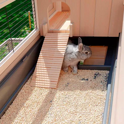 Ferplast Clapier à lapins en bois FSC à deux étages avec RANCH 120 MAX Ferplast Clapier à lapins en bois FSC à deux étages avec RANCH 120 MAX