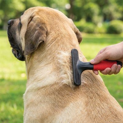 Ferplast Peigne rateau avec dents rotatives pour chiens GRO 5874