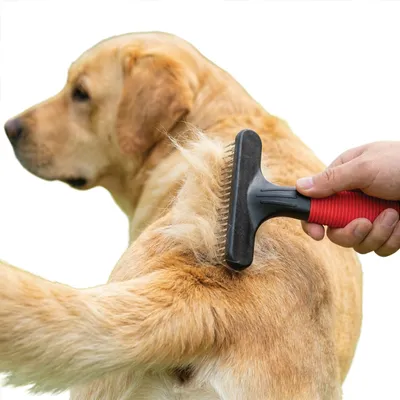 Ferplast Peigne rateau avec dents rotatives pour chiens GRO 5874